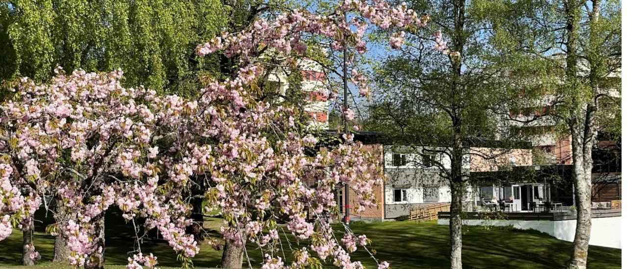 Emma Gjestehus Sandvika Eksteriør billede